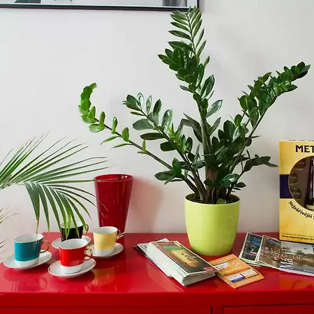 Melantrichova Apartment